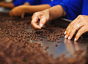 CAFFè LAMETTA